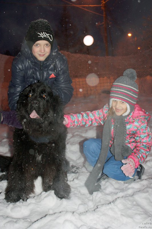 Фотография № 199616