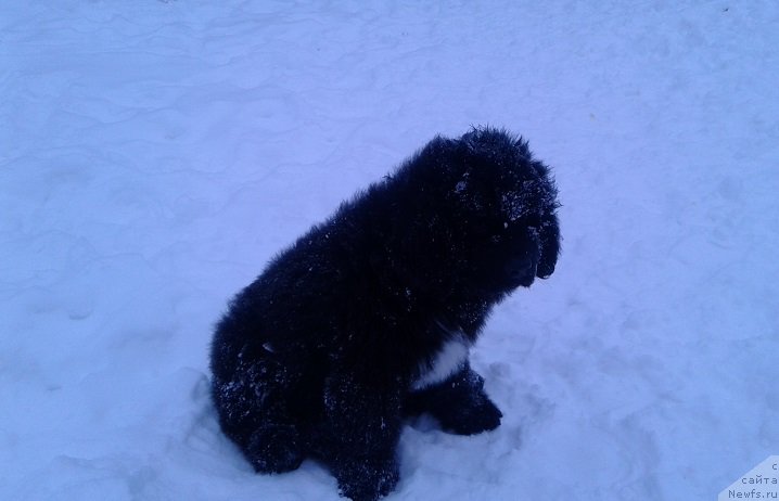 Фотография № 199674