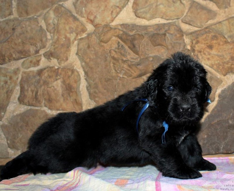 Фотография № 199726