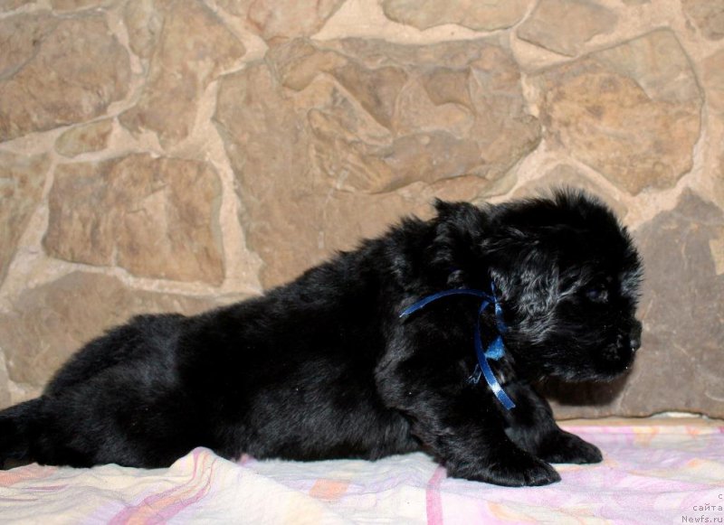 Фотография № 199727