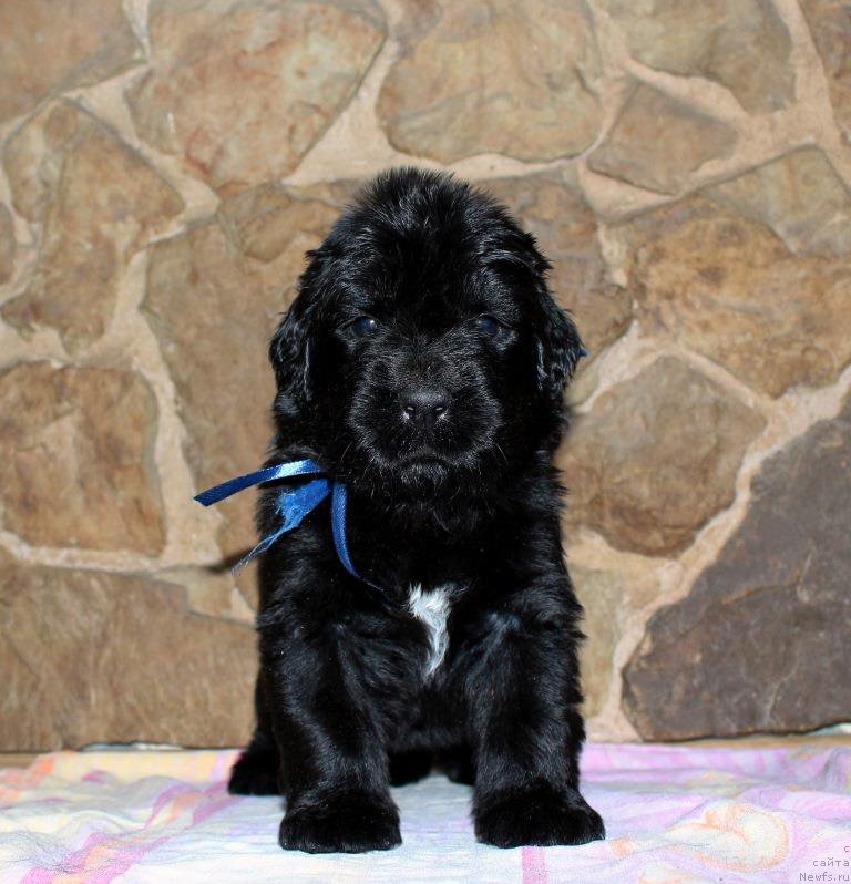 Фото: Viktor Hrischanovich (Виктор Хрищанович)