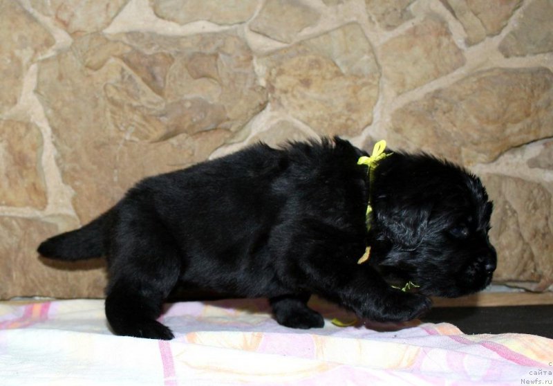 Фотография № 199736