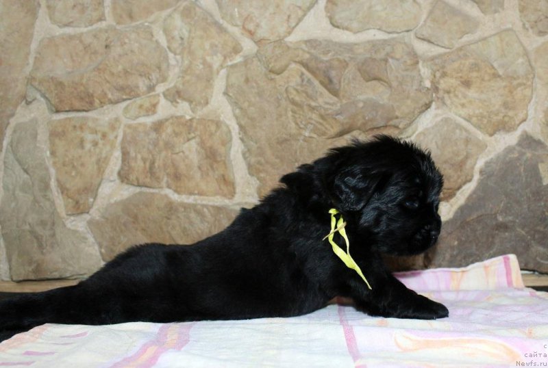 Фото: Viktor Hrischanovich (Виктор Хрищанович)