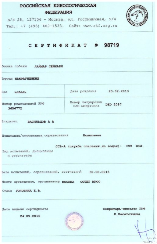 Фото: ньюфаундленд Laymar Seynari (Лаймар Сейнари)