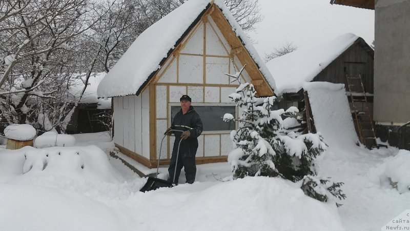 Фотография № 199806