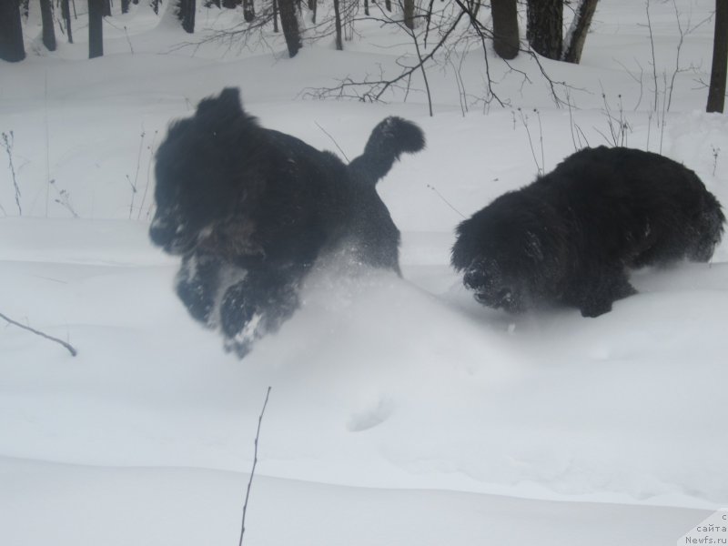 Фото: Natal'ya Smazchikova (Наталья Смазчикова)