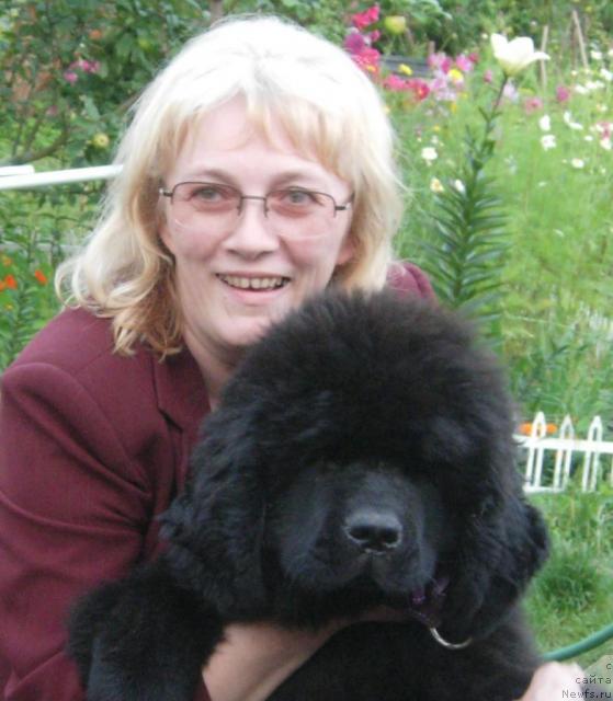 Фото: ньюфаундленд Skippers Only You for Smigar