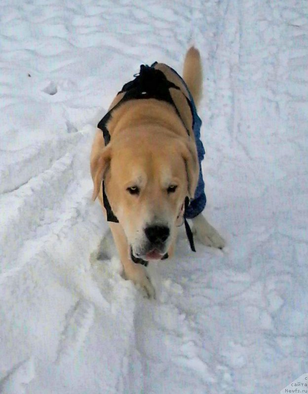 Фото: Lena Zyirina (Лена Зырина)