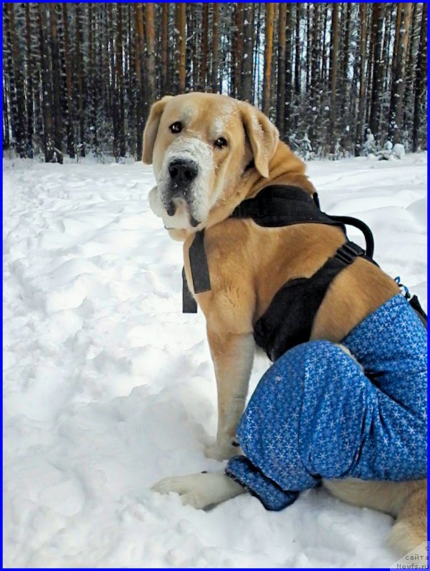 Фото: Lena Zyirina (Лена Зырина)