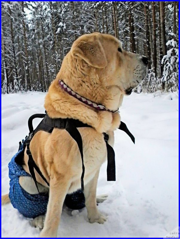 Фото: Lena Zyirina (Лена Зырина)