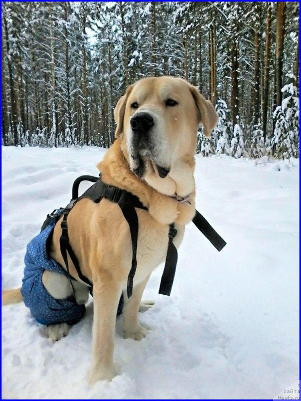 Фото: Lena Zyirina (Лена Зырина)