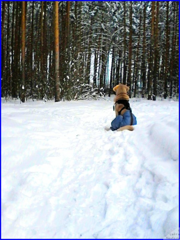 Фото: Lena Zyirina (Лена Зырина)