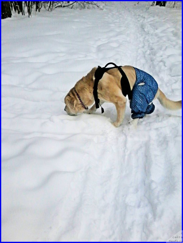Фото: Lena Zyirina (Лена Зырина)