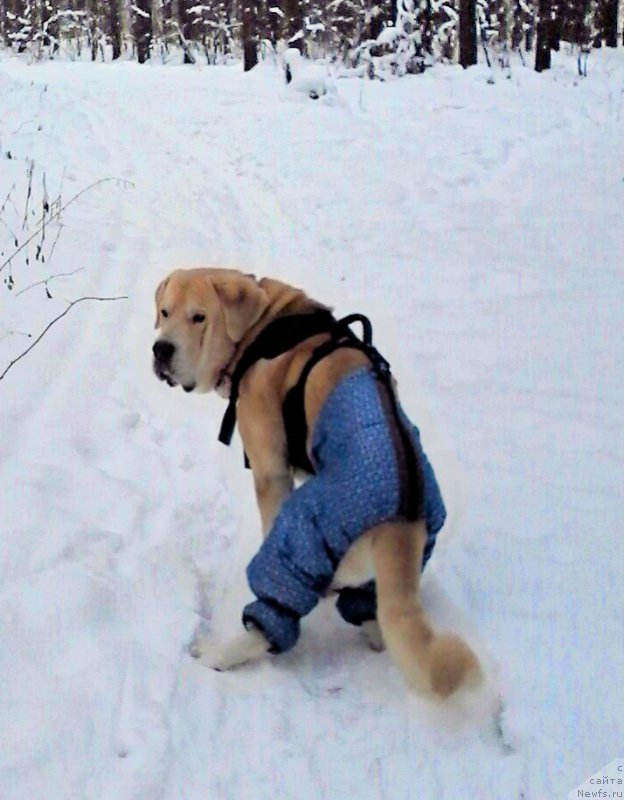 Фото: Lena Zyirina (Лена Зырина)