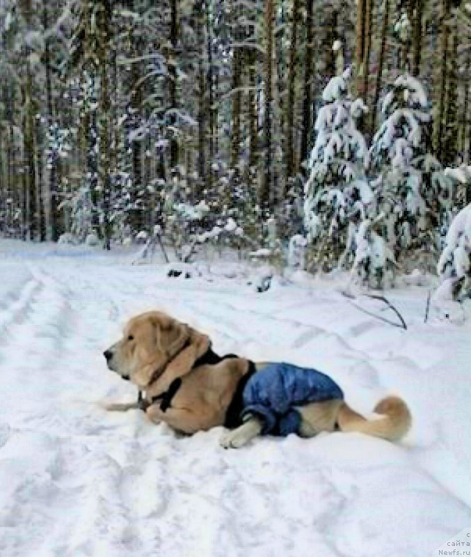 Фото: Lena Zyirina (Лена Зырина)