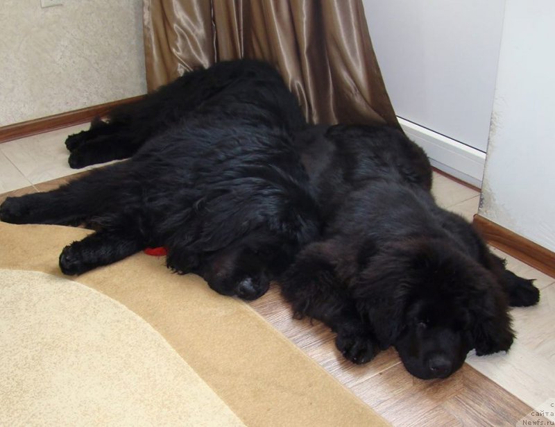 Фотография № 199842