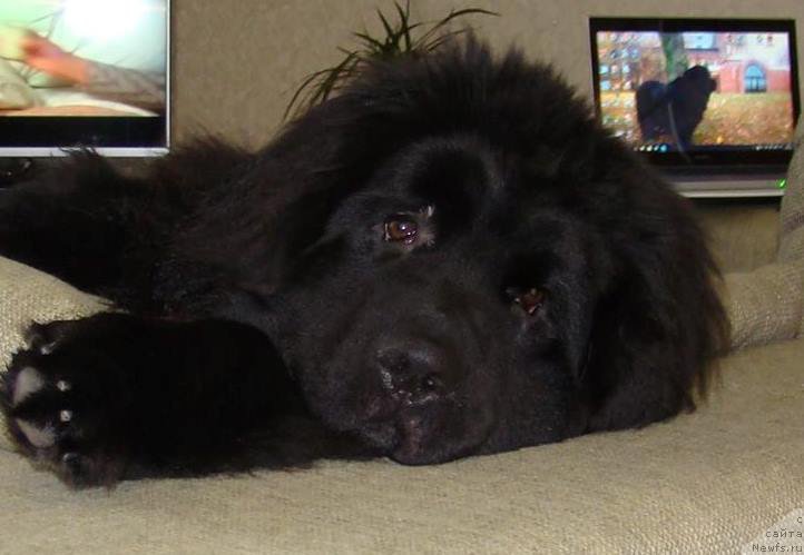 Фотография № 199843