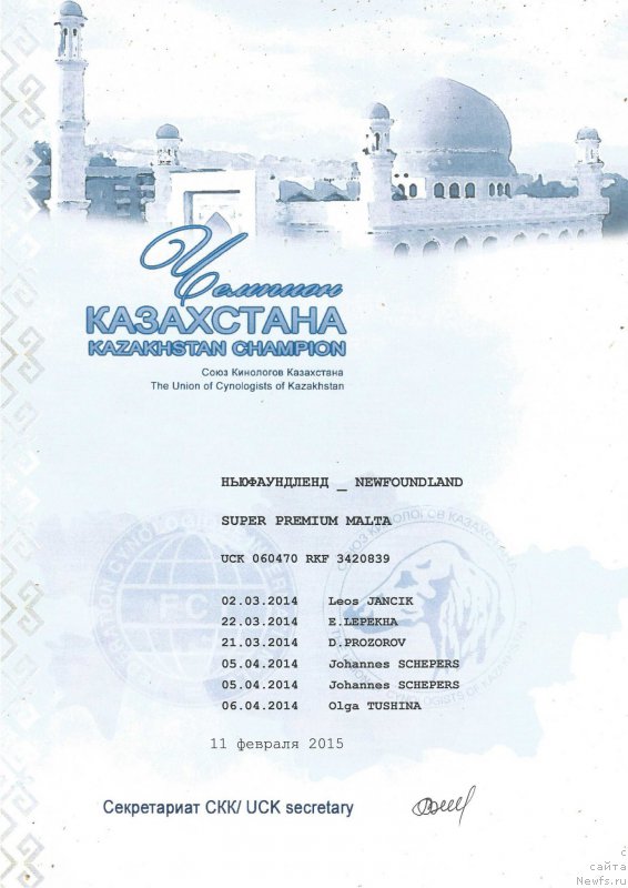 Фото: ньюфаундленд Super Premium Mal'ta (Супер Премиум Мальта)