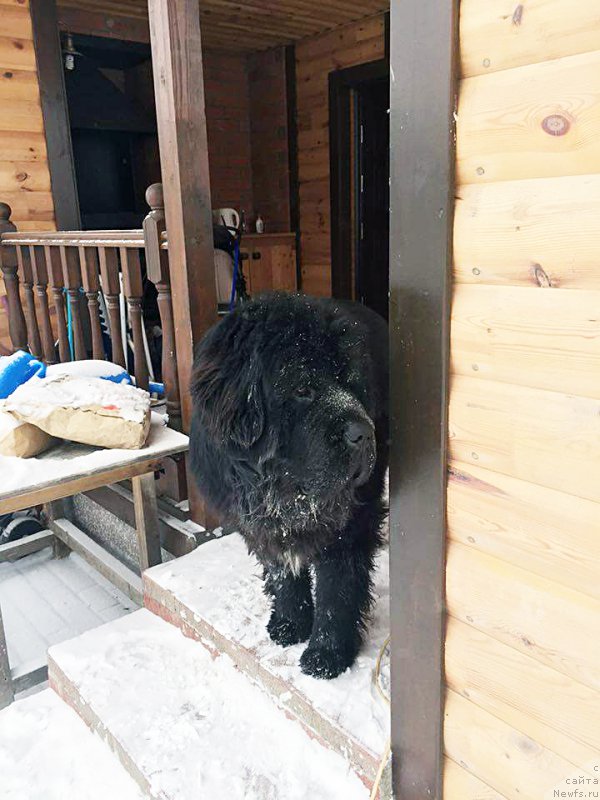 Фотография № 199866