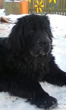 Фотография № 199877