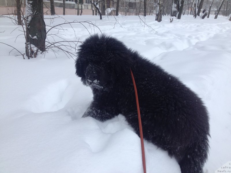 Фото: Dmitriy Caplin (Дмитрий Цаплин)