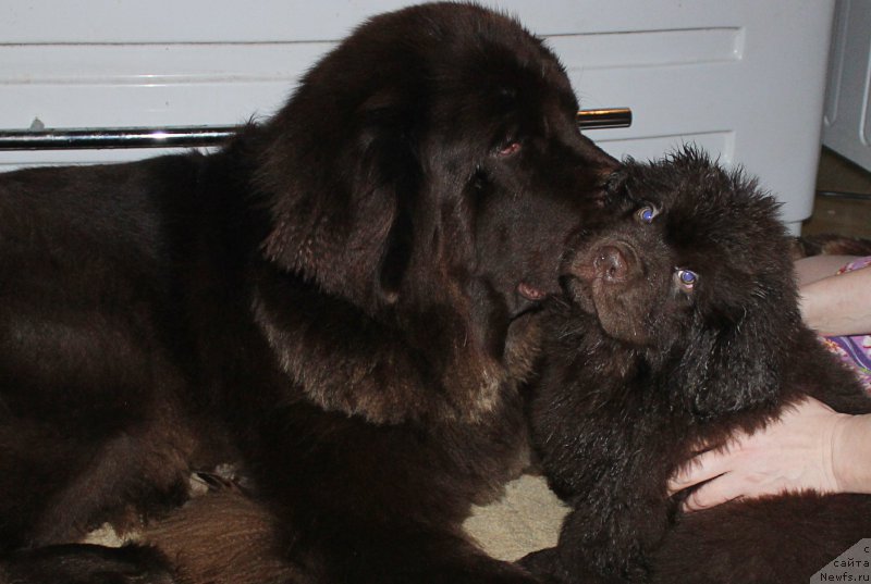 Фотография № 199882