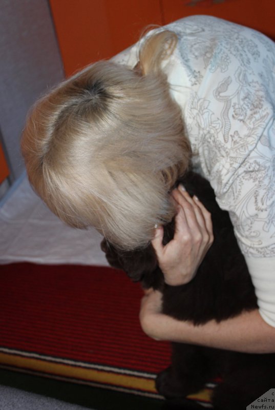 Фотография № 199886