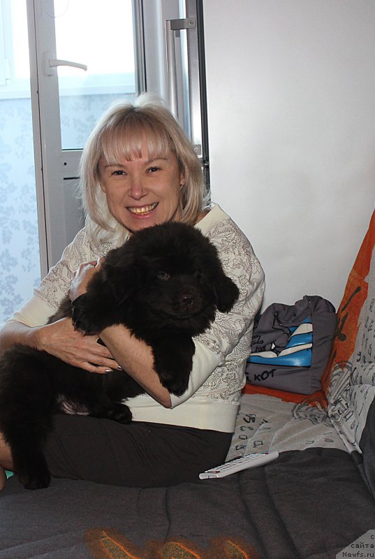 Фотография № 199887