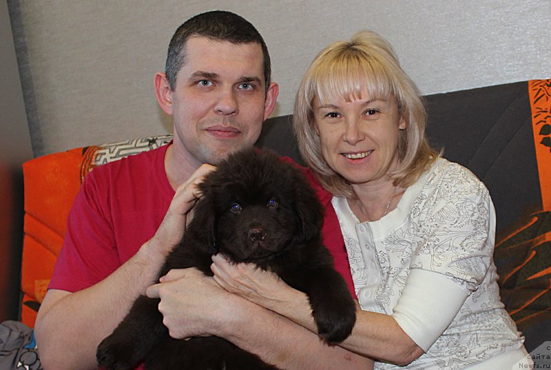 Фотография № 199888