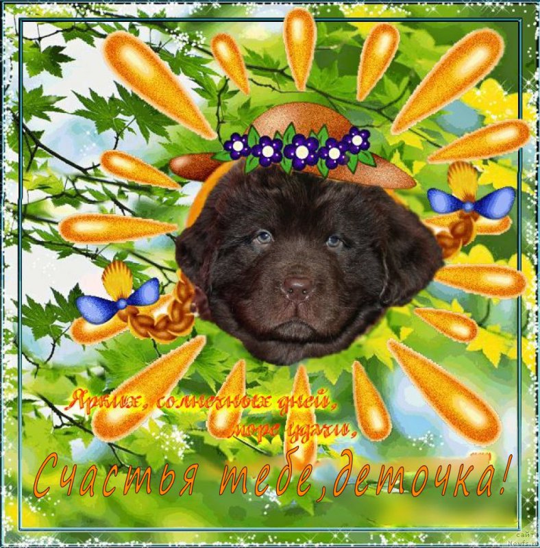 Фотография № 199897