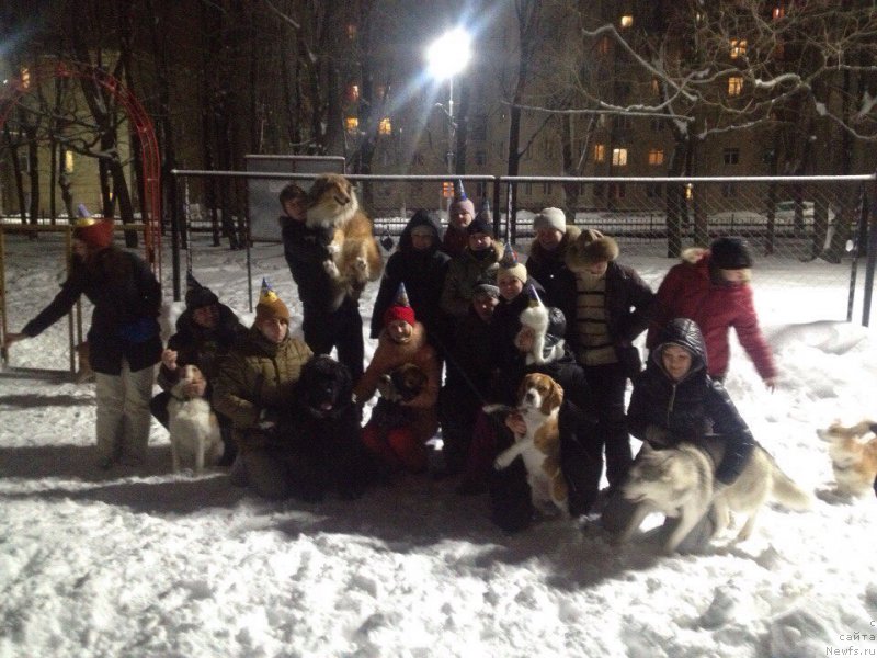 Фото: Vladimir Hachatryan (Владимир Хачатрян), ньюфаундленд Brownblood MSK Helfi Best Armani (Браунблад МСК Хелфи Бэст Армани)