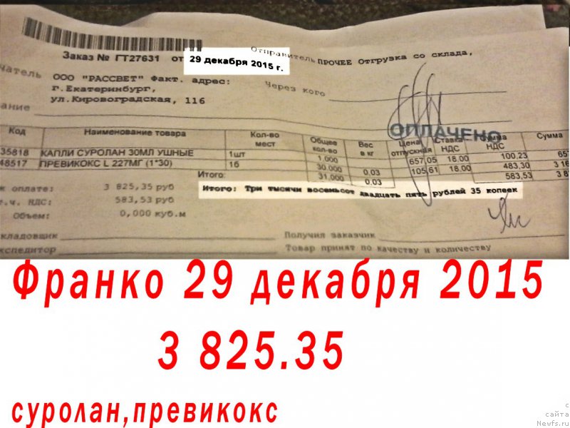 Фото: Lena Zyirina (Лена Зырина)