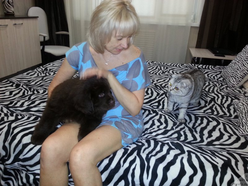 Фотография № 199936