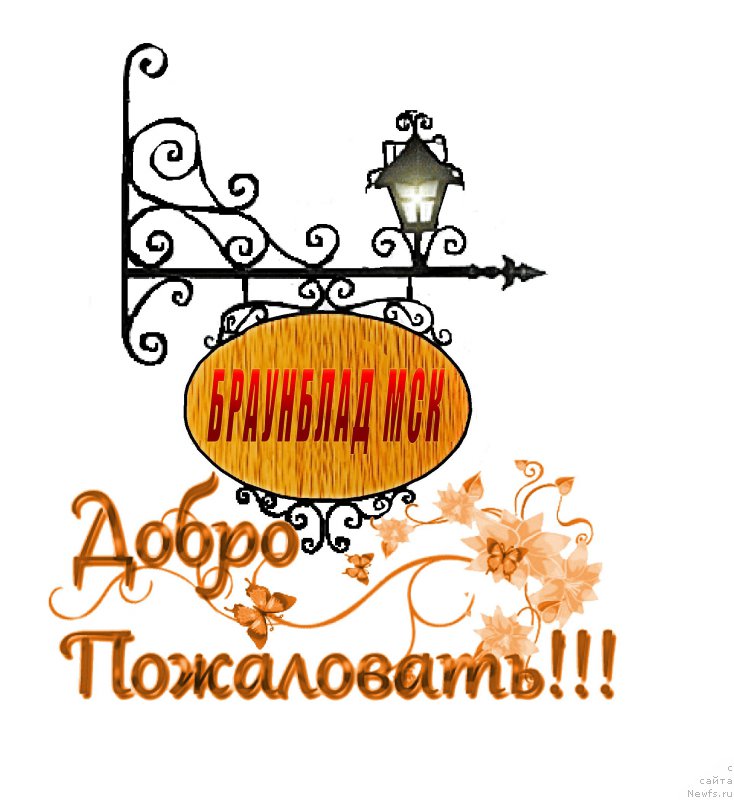 Фотография № 199961