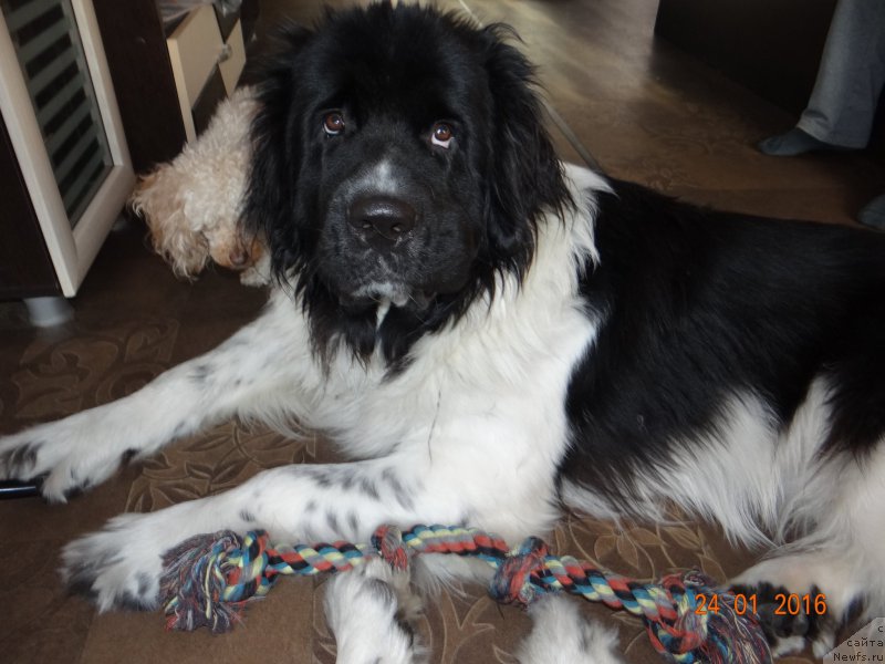 Фотография № 199997