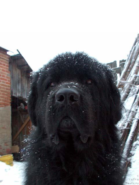 Фотография № 2