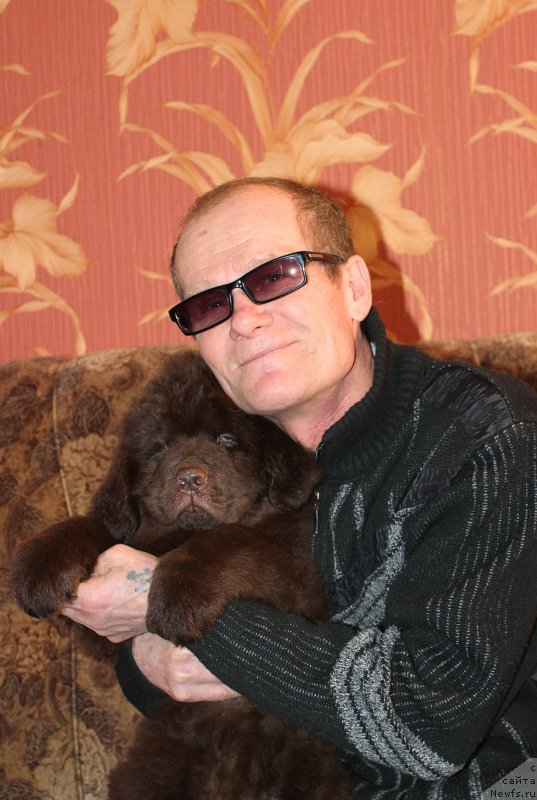 Фотография № 200014