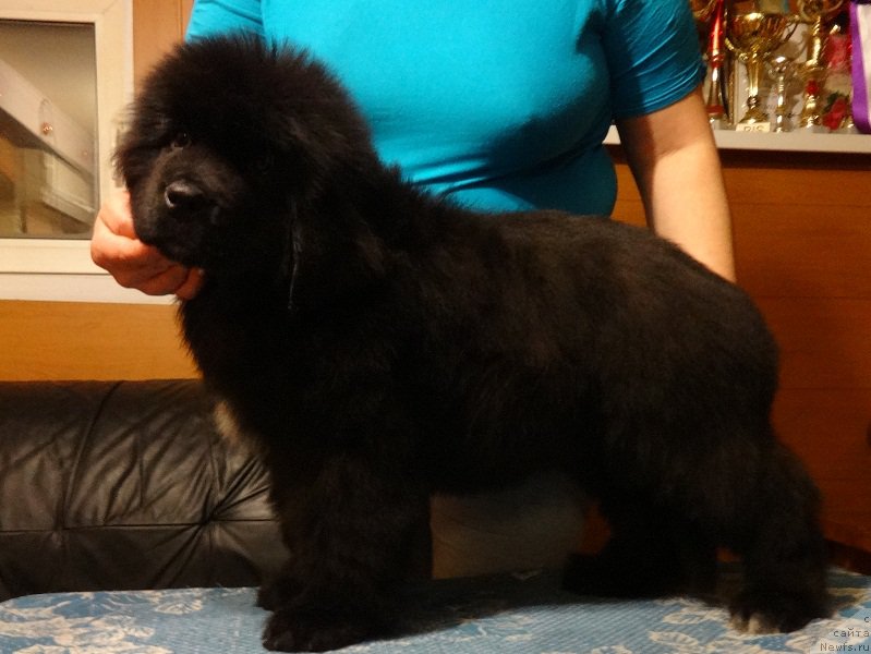 Фото: Irina Panyushkina (Ирина Панюшкина)