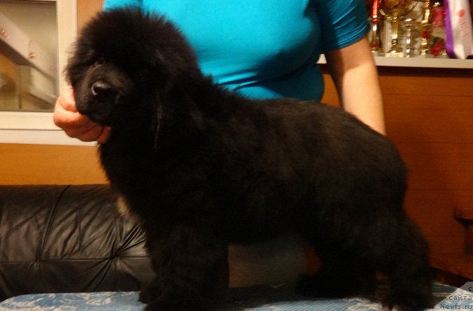 Фото: Irina Panyushkina (Ирина Панюшкина)