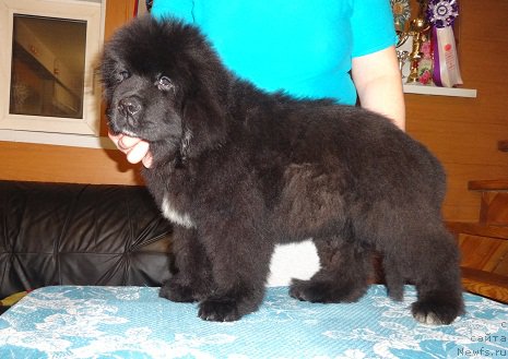 Фото: Irina Panyushkina (Ирина Панюшкина)