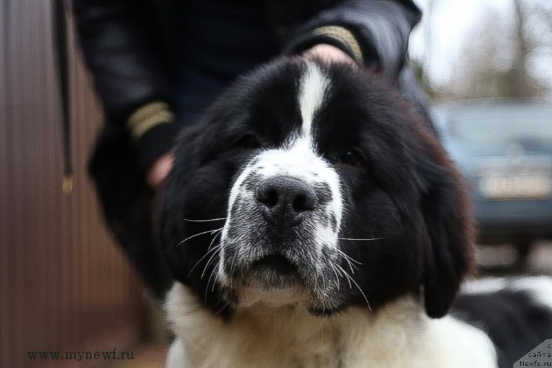 Фотография № 200033