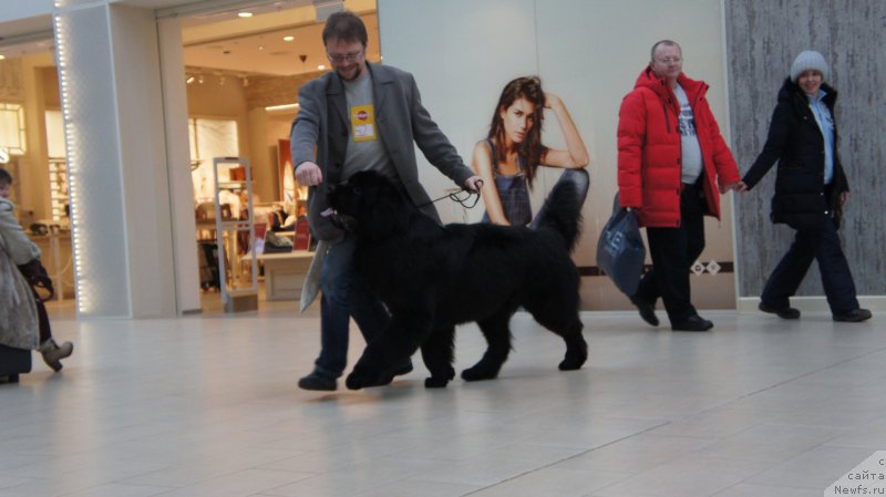 Фотография № 200036