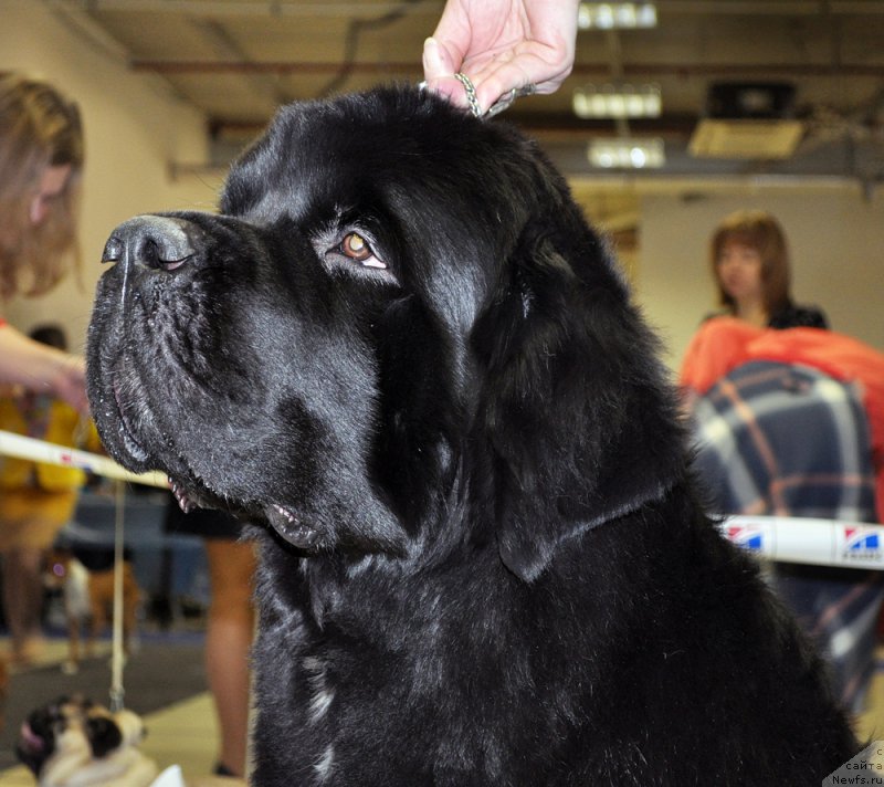 Фотография № 200052