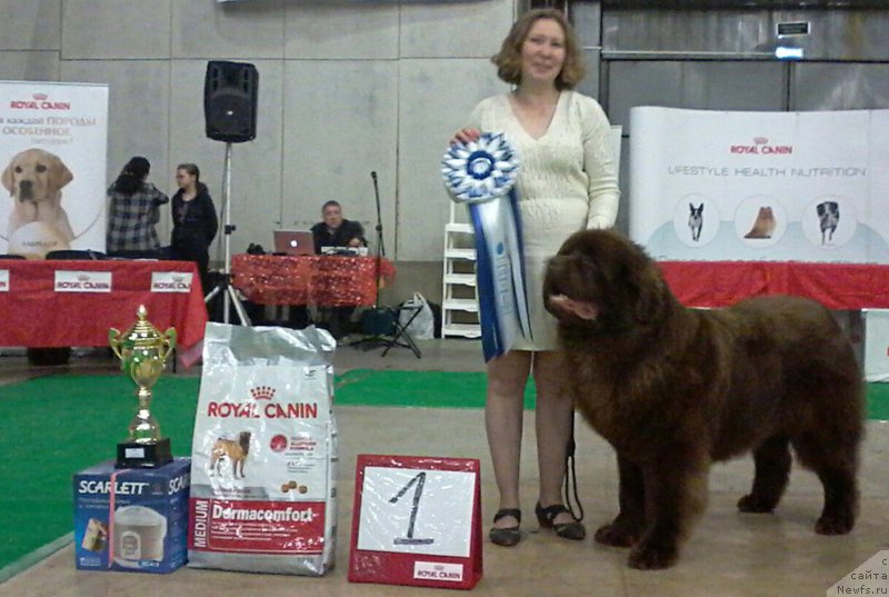 Фотография № 200057