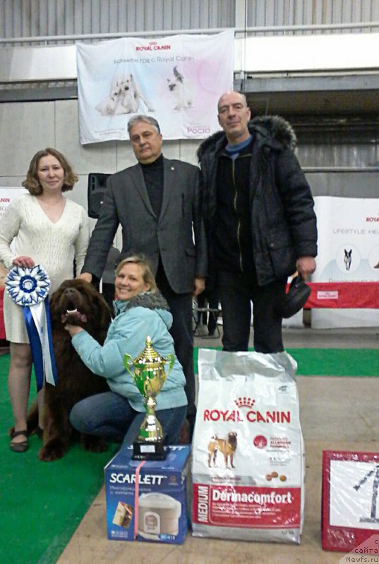 Фотография № 200058