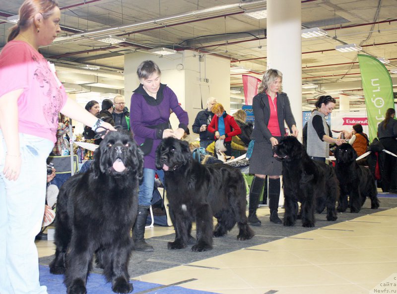 Фотография № 200061