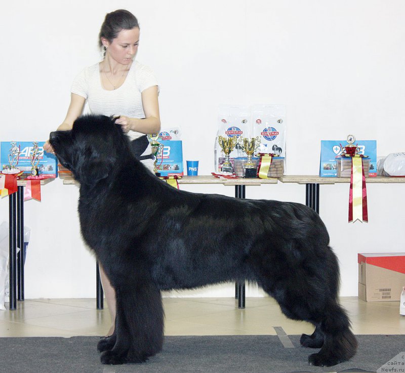 Фотография № 200062