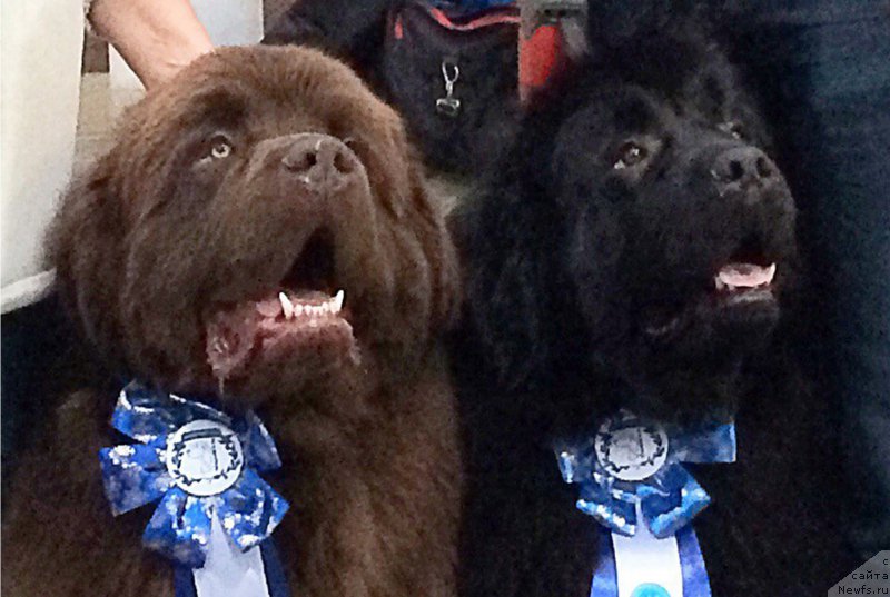 Фотография № 200066