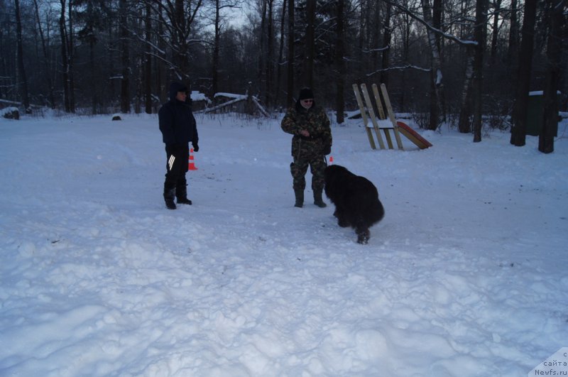 Фотография № 200084