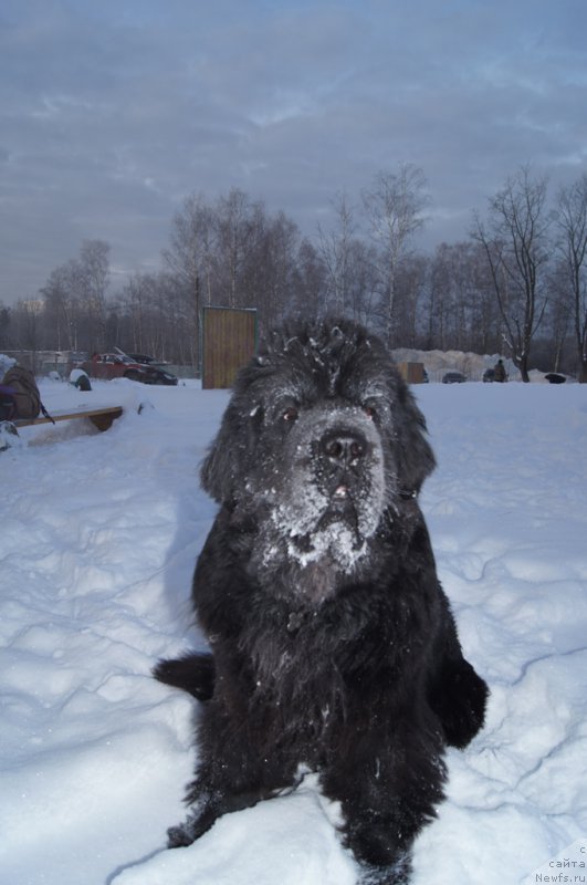 Фотография № 200085